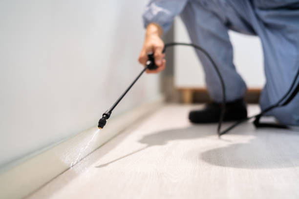 Licensed Termite Control service in Fredericksburg, IA - Nex Pest Control