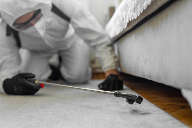 Professional Termite Control technician working in Fredericksburg, IA