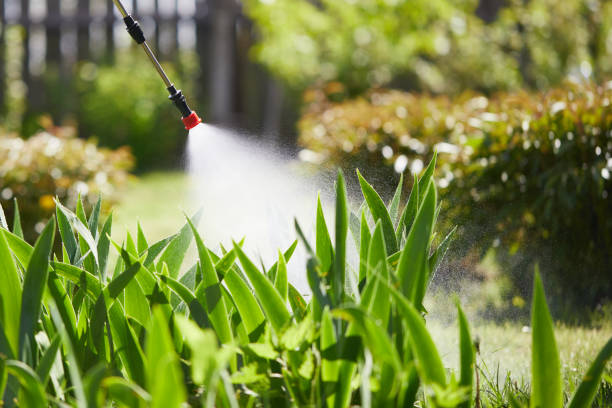 24/7 Emergency Termite Control experts in Fredericksburg, IA