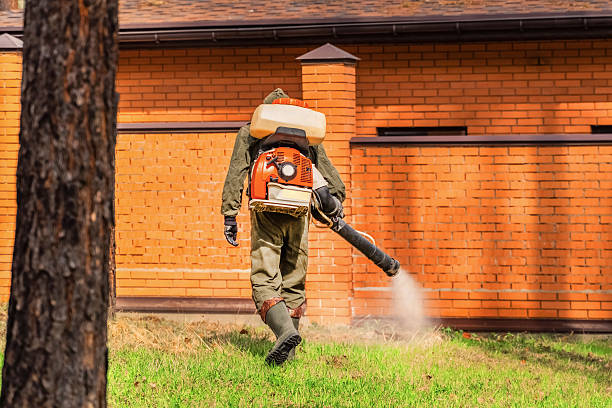 Trusted Termite Control service in Fredericksburg, IA - Nex Pest Control